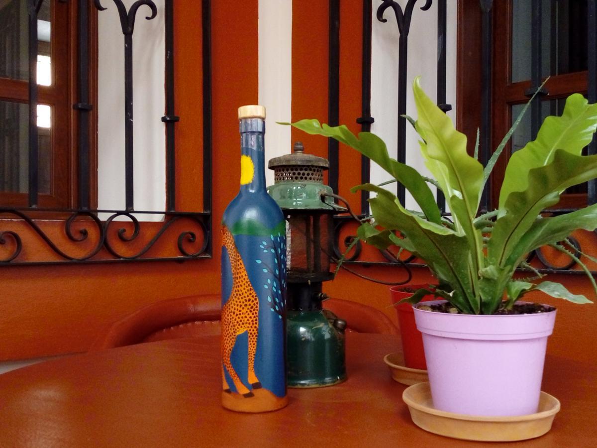 Casa Agave Oaxaca Bed and Breakfast Eksteriør billede
