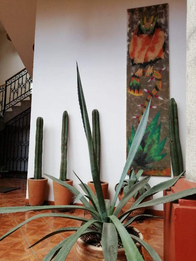 Casa Agave Oaxaca Bed and Breakfast Eksteriør billede