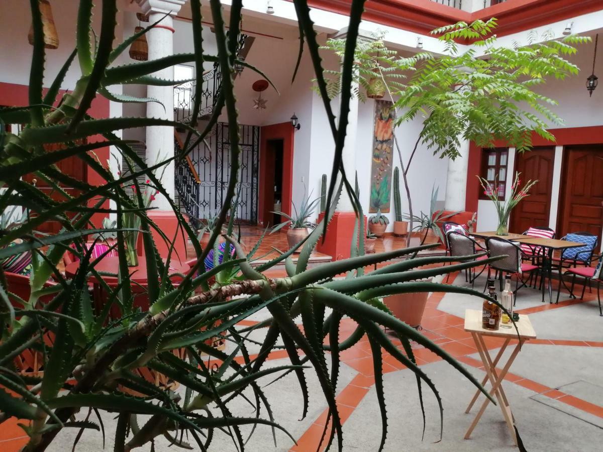 Casa Agave Oaxaca Bed and Breakfast Eksteriør billede
